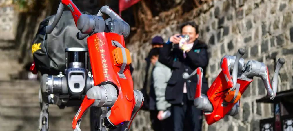 論壇搶先看丨科技創(chuàng)新生態(tài)活力迸發(fā)，多元要素共筑發(fā)展新高地